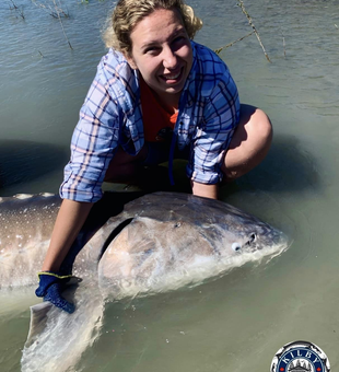 BC's Mighty Sturgeon Adventure